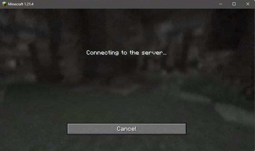 minecraft connecting